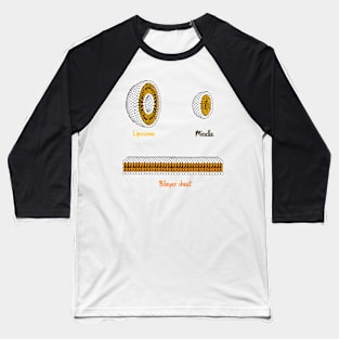 Phospholipids arrangement. Liposome Micelle soap phospholipid bilayer sheet Baseball T-Shirt